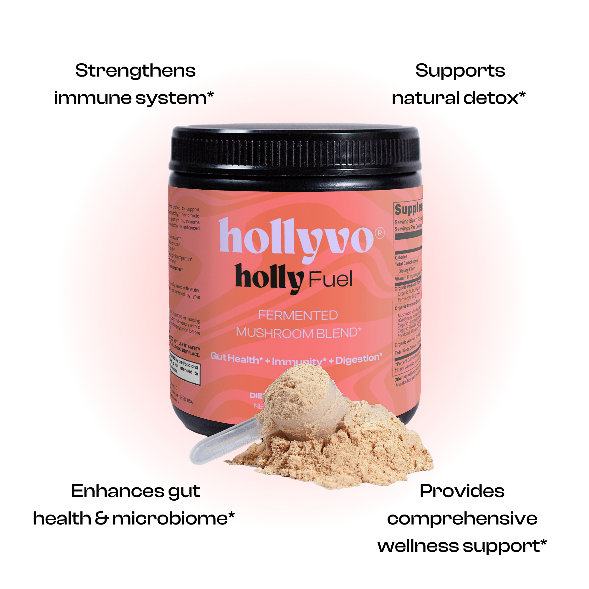 holly fuel gut health fermented mushroom blend