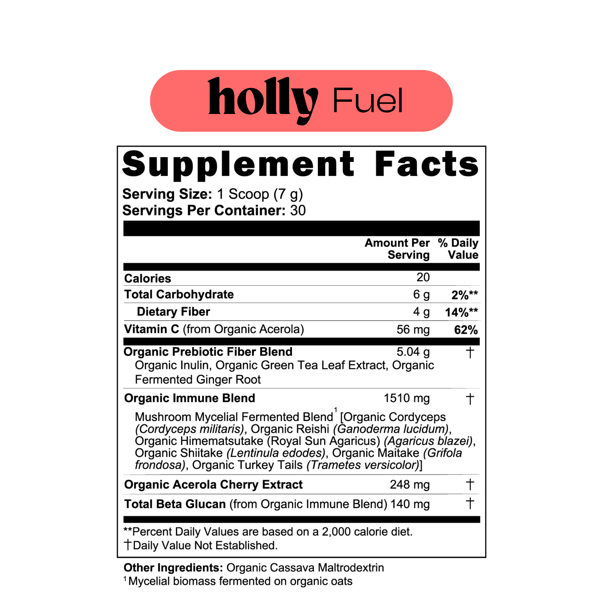 holly fuel gut health fermented mushroom blend