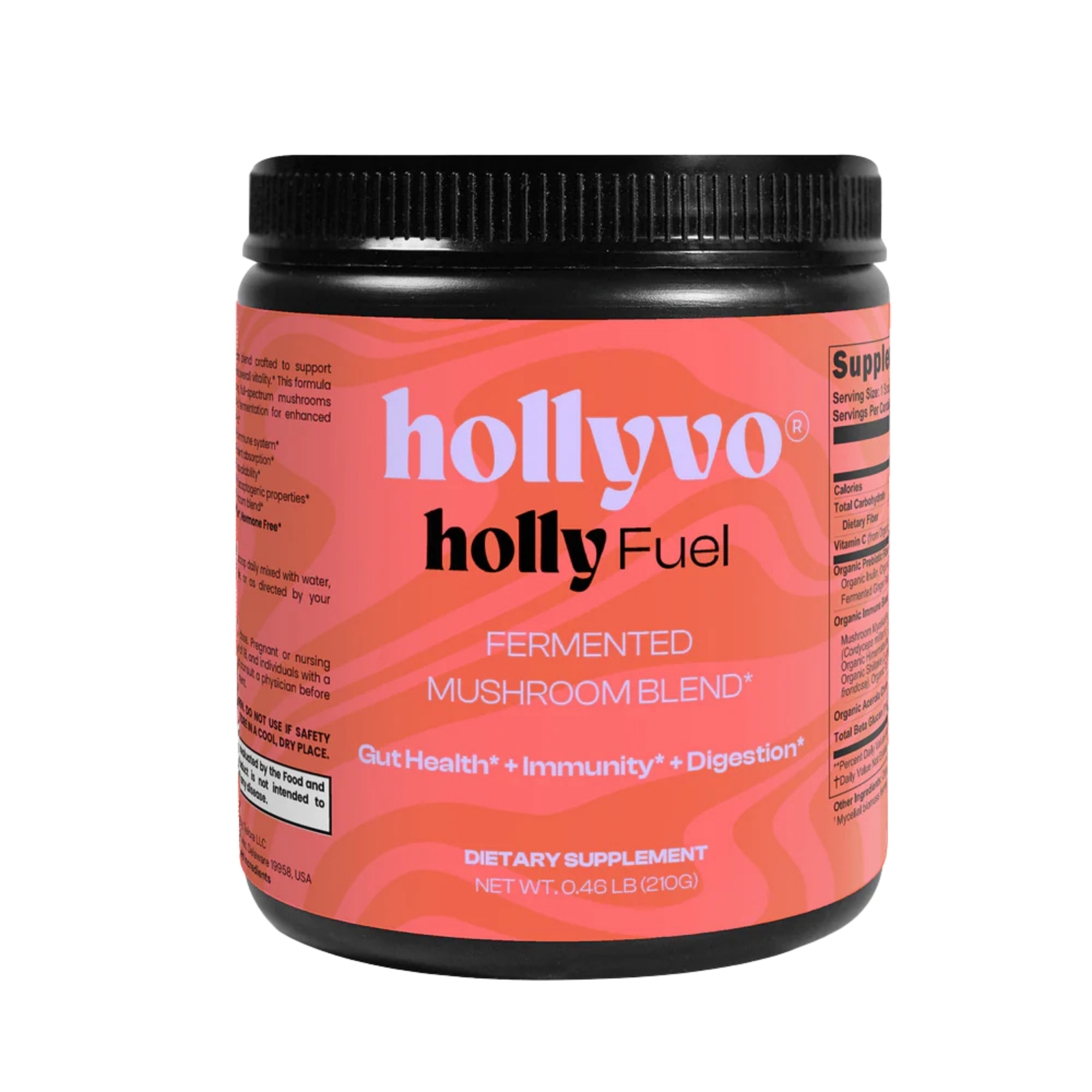 holly fuel gut health fermented mushroom blend